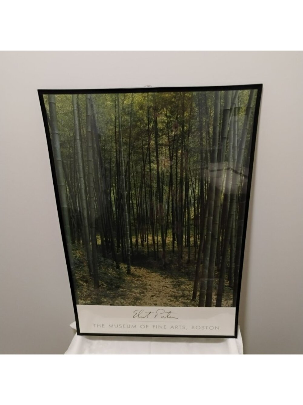 Vintage Eliot Porter Framed Bamboo Forest Museum Poster - 36" Large Wall Art - Picture 9 of 9